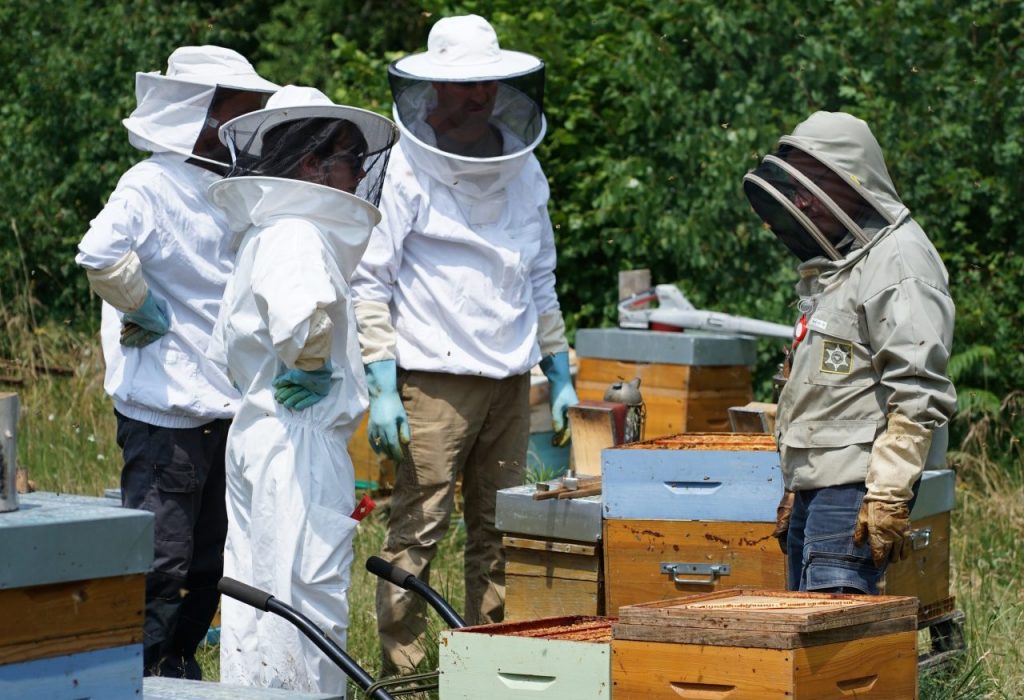 Photo d'un atelier "apiculture" aux alentours d'Angers