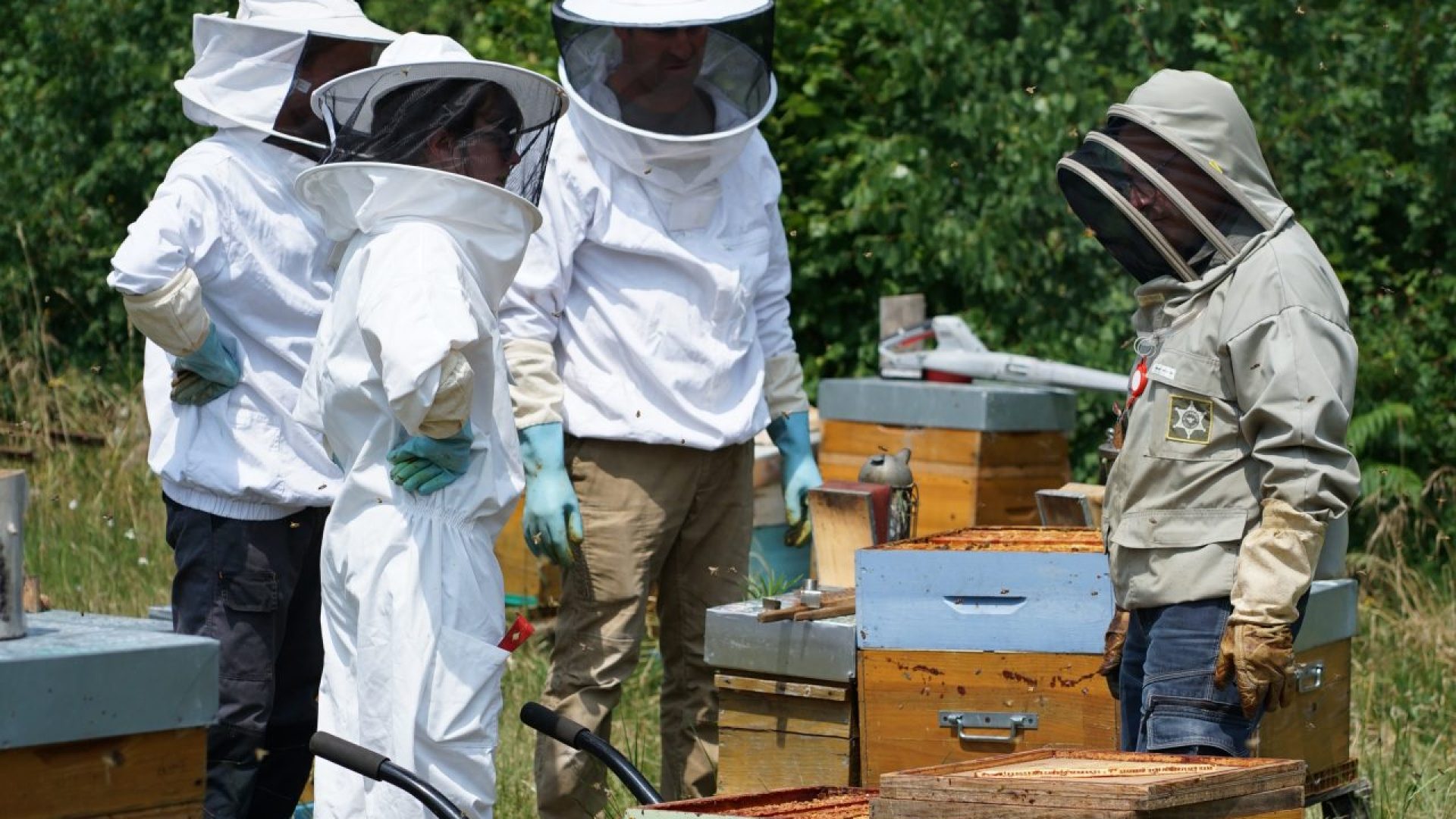 Photo d'un atelier "apiculture" aux alentours d'Angers