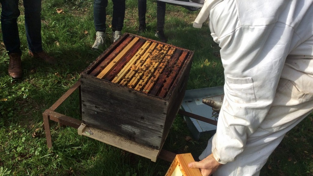 Apiculture JF Chauvel