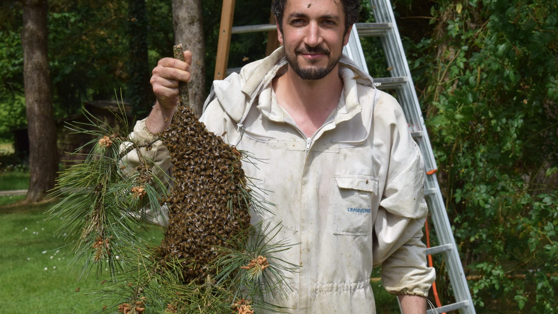 apiculture chauvel (5)
